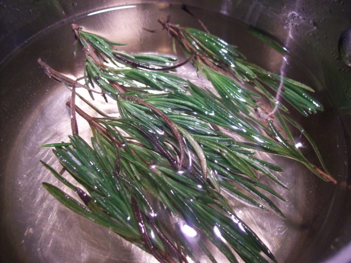 plants-that-repel-bugs